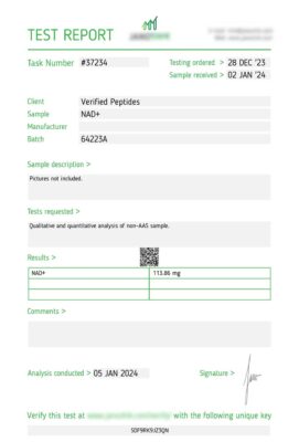 NAD Lab Report January 2024
