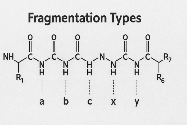 Peptide Fragmentation Patterns in Mass Spectrometry - Verified Peptides