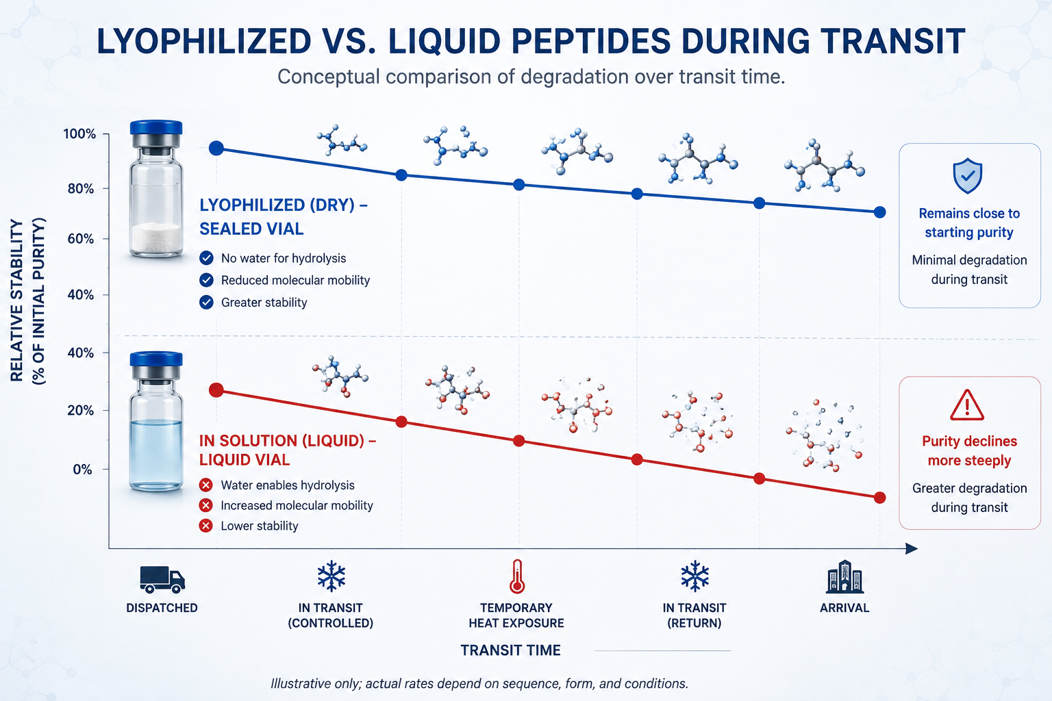 Chart comparing degradation of lyophilized versus reconstituted peptide over transit time.