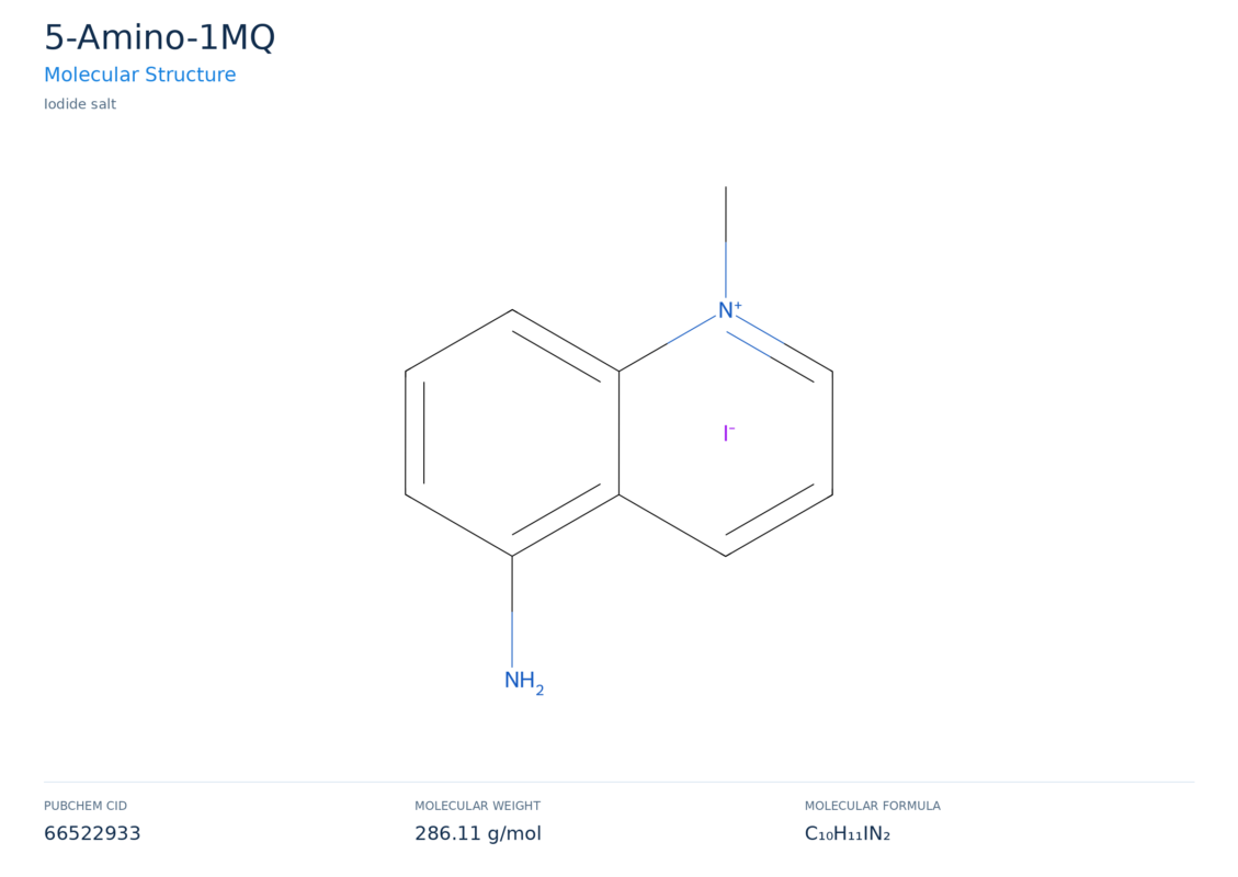 5-Amino-1MQ molecular structure diagram
