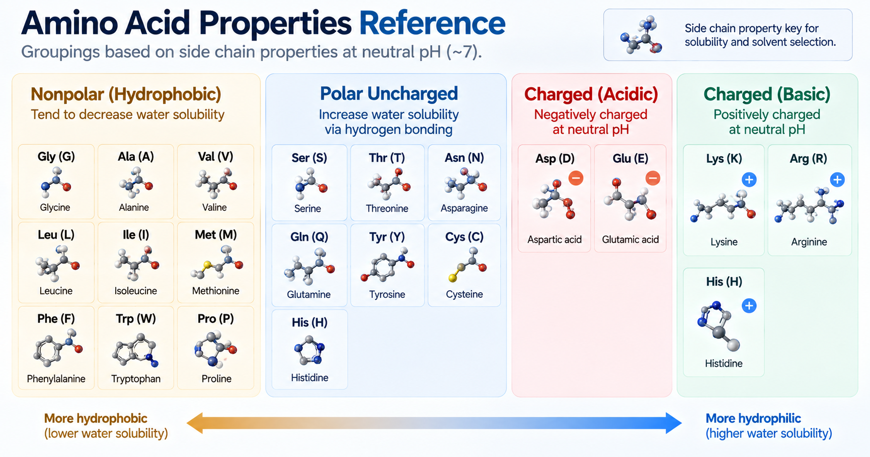 Reference grid grouping amino acids into nonpolar, polar uncharged, and charged acidic and basic.