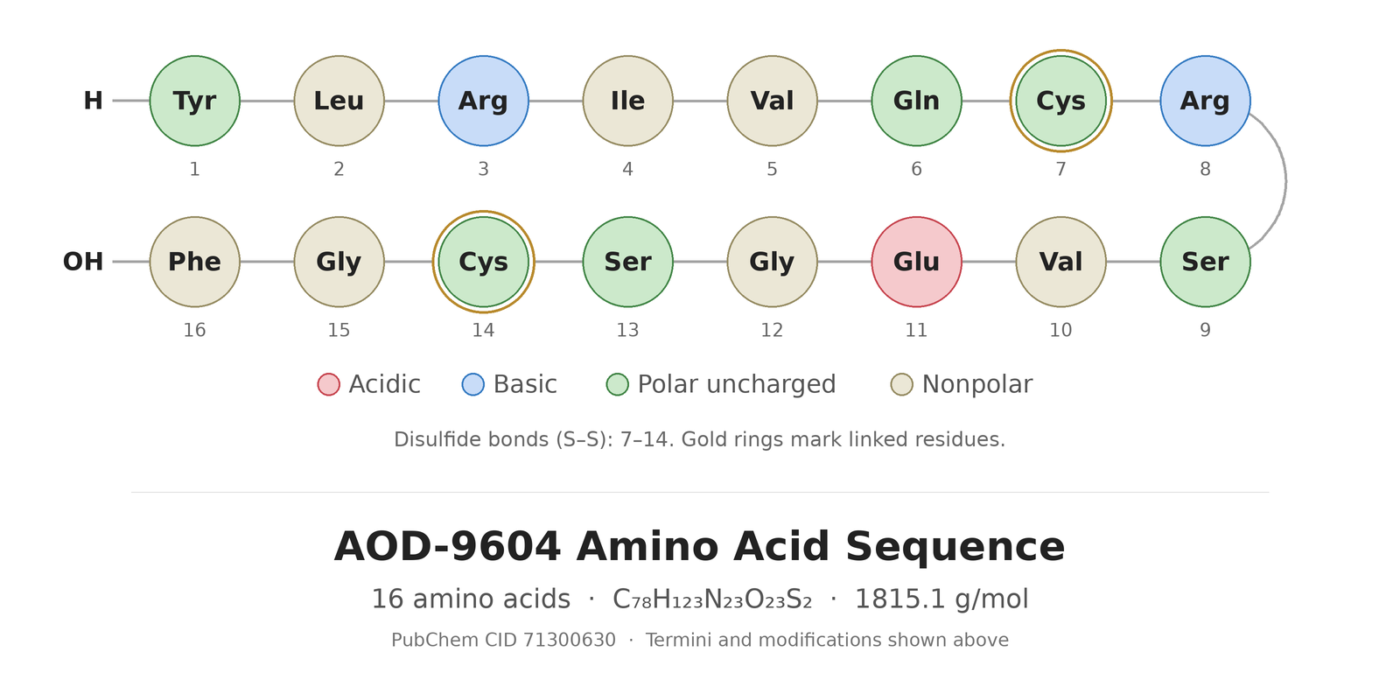 AOD-9604 amino acid sequence diagram