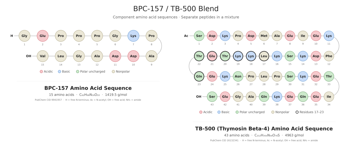 Amino acid sequence diagrams for BPC-157 and TB-500 (Thymosin Beta-4) wolverine peptide