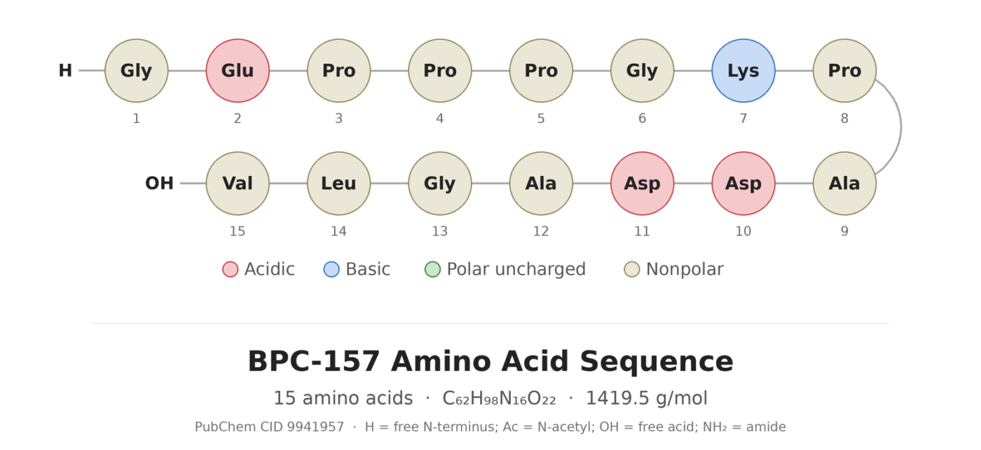 BPC-157 amino acid sequence diagram