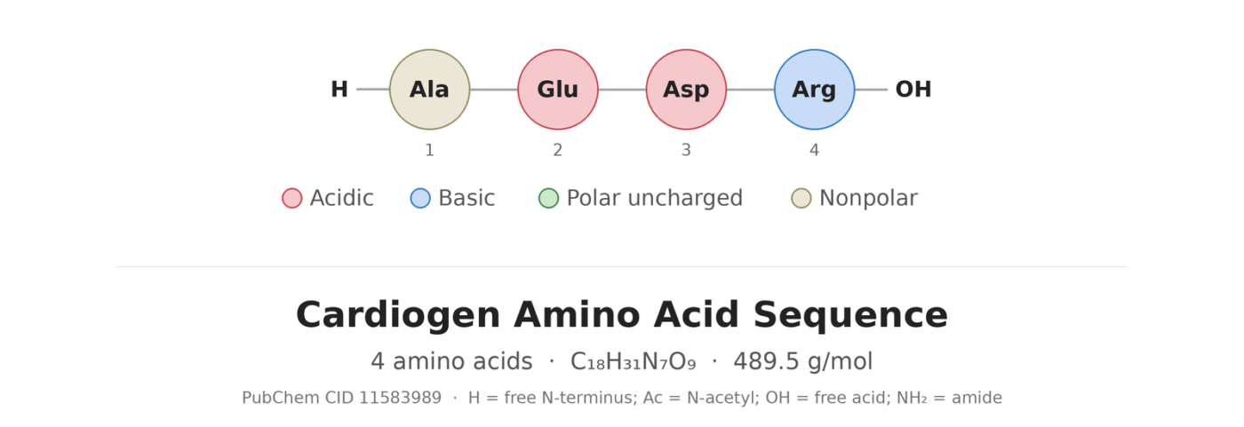 Cardiogen amino acid sequence diagram