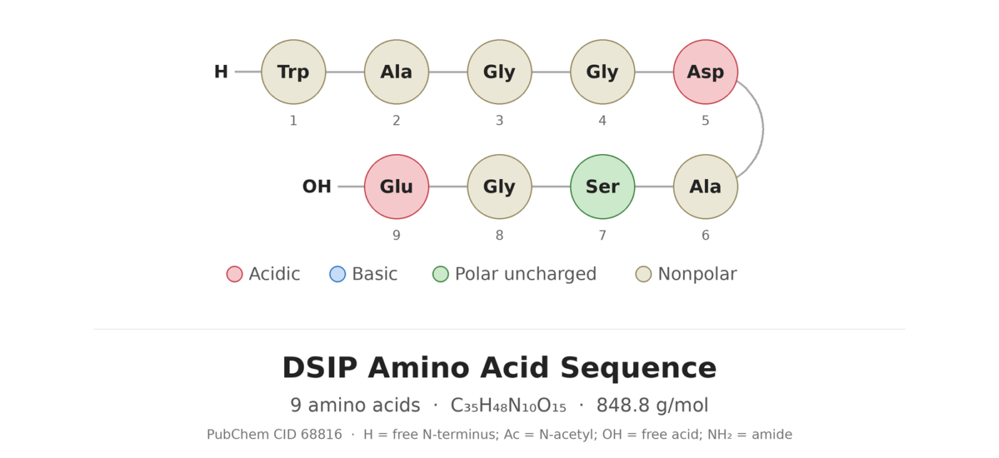 DSIP amino acid sequence diagram