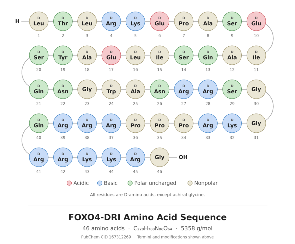 FOXO4-DRI amino acid sequence diagram