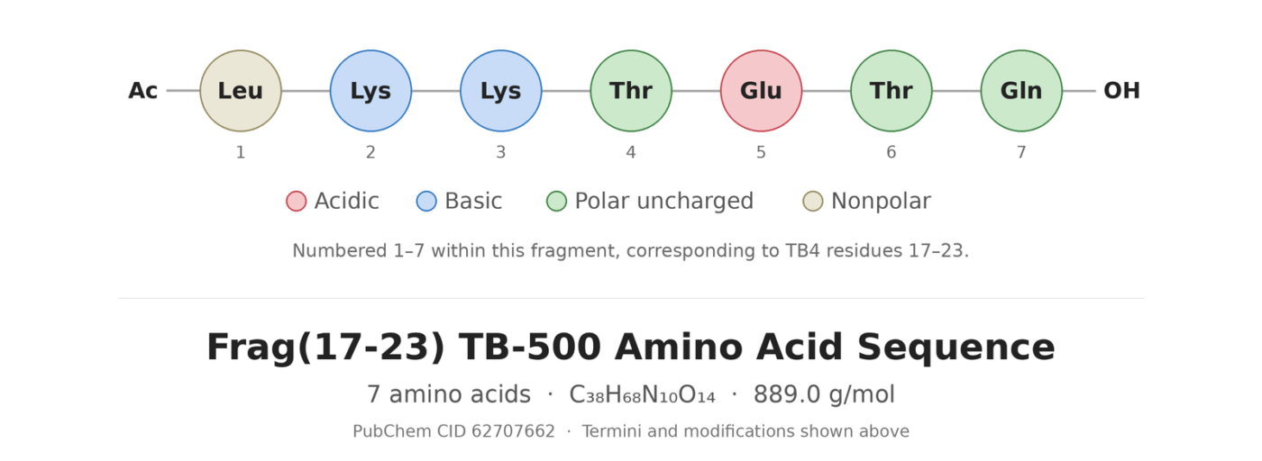 TB-500 fragment 17-23 amino acid sequence diagram