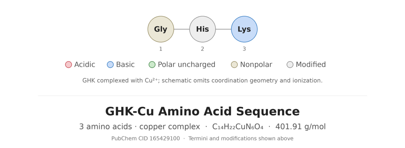 GHK-Cu amino acid sequence showing glycine, histidine, and lysine