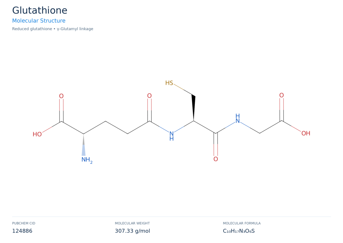 glutathione molecular structure diagram