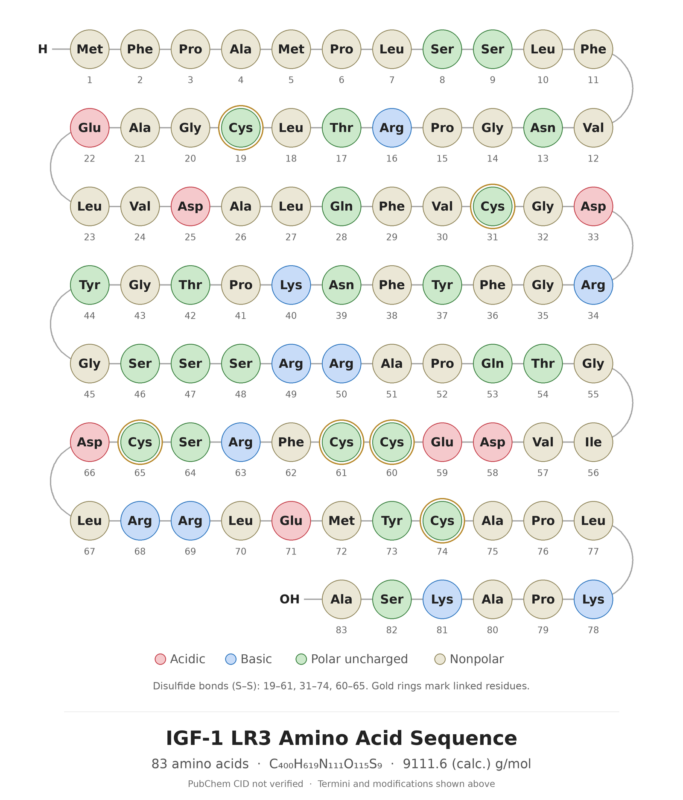 IGF-1 LR3 amino acid sequence diagram