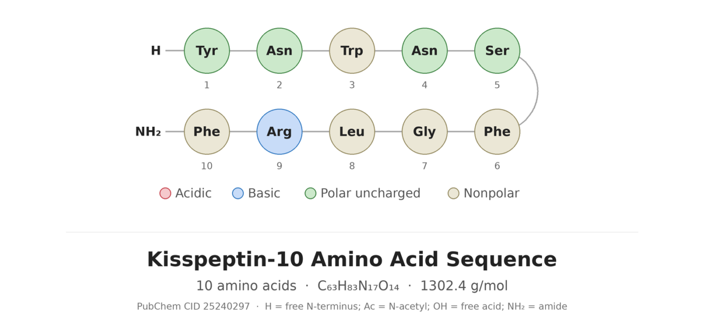 Kisspeptin amino acid sequence diagram
