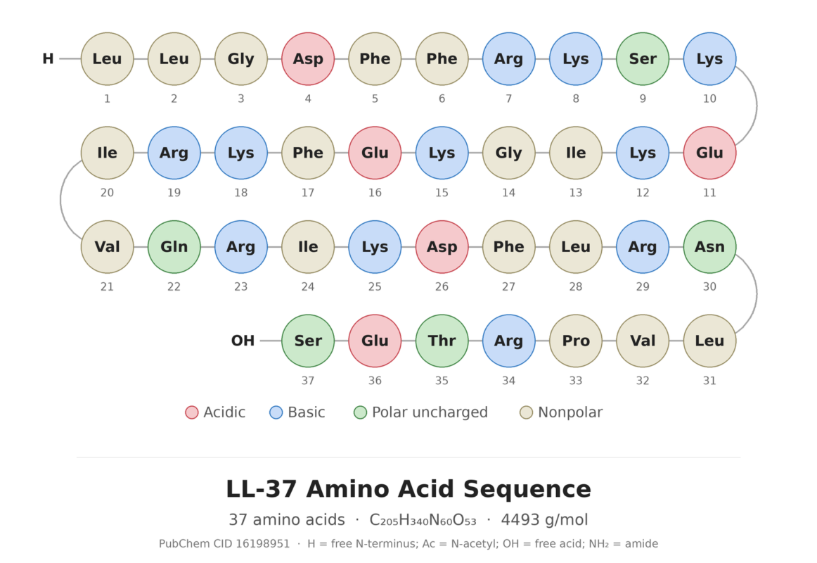 LL-37 amino acid sequence diagram