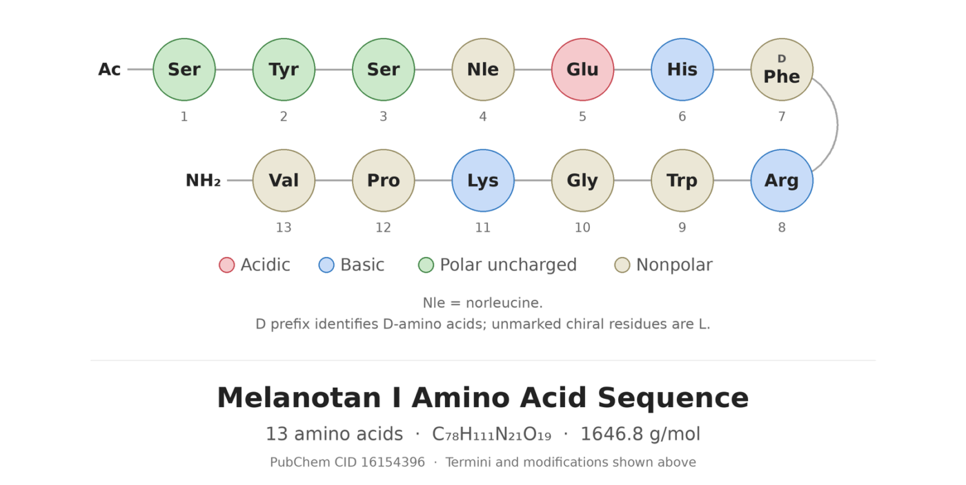 MT 1 amino acid sequence diagram