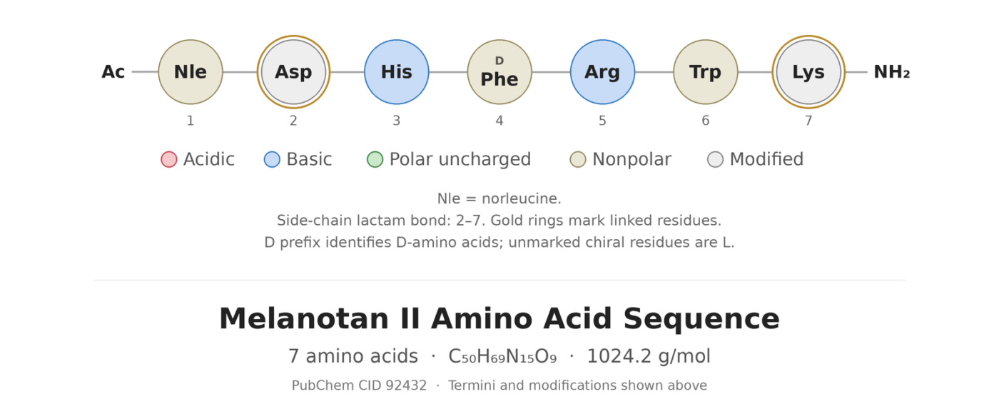 MT 2 amino acid sequence diagram