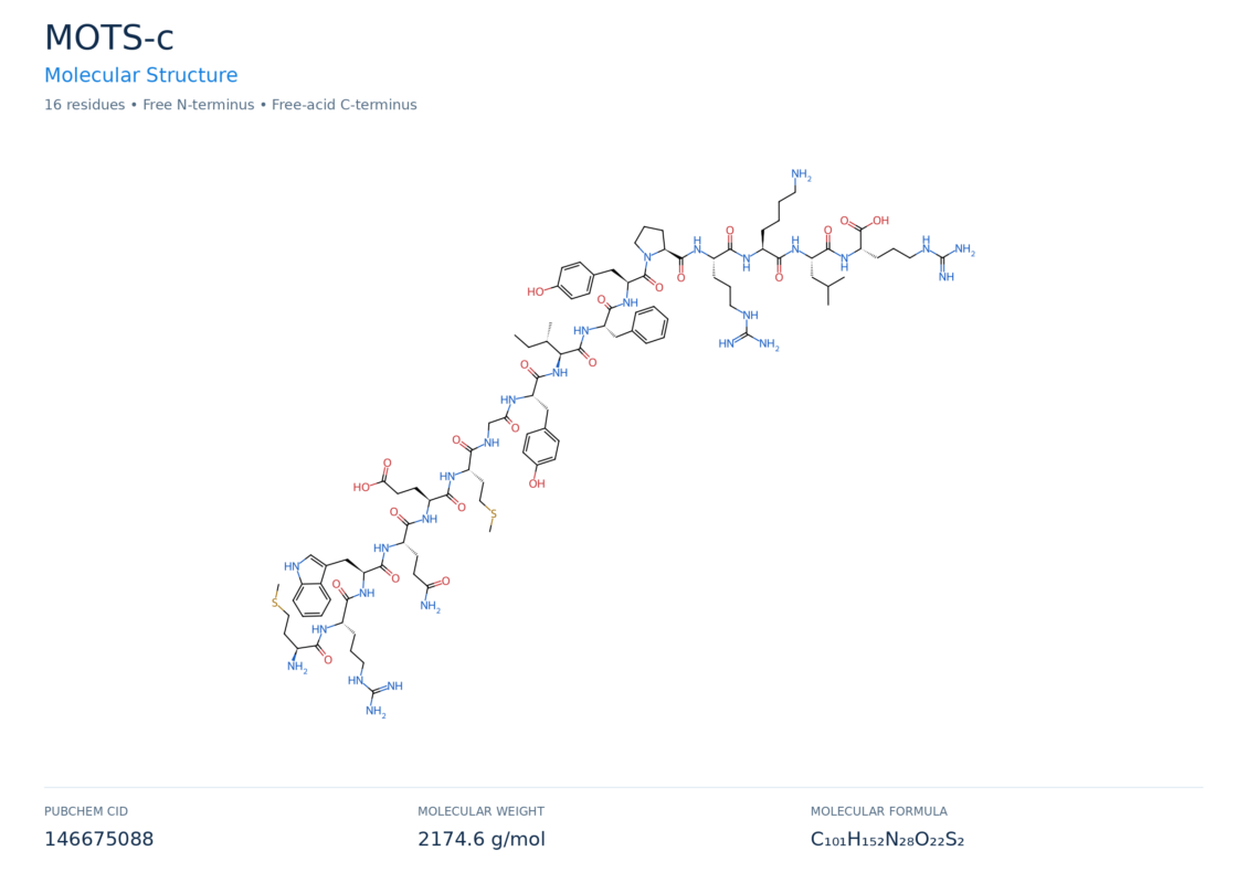 mots-c molecular structure diagram