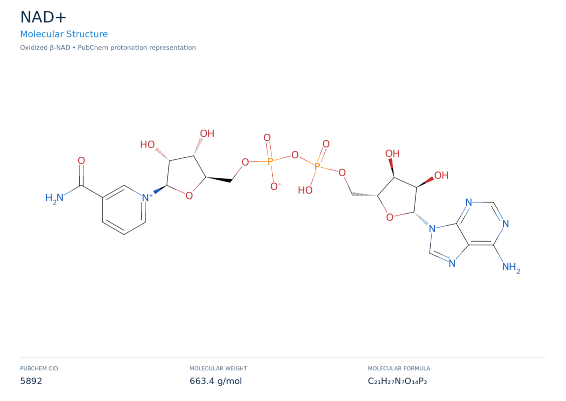 nad+ molecular structure diagram