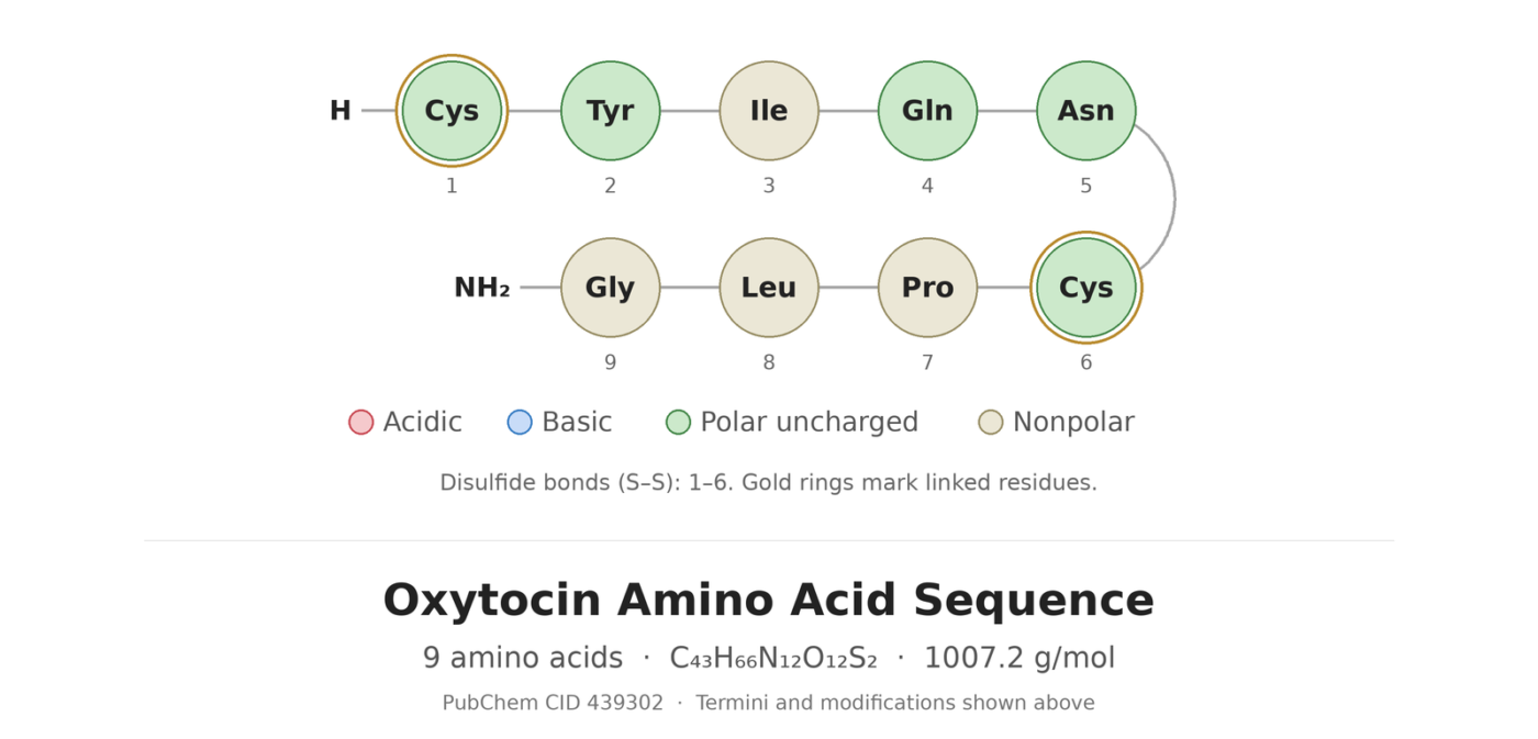Oxytocin amino acid sequence diagram