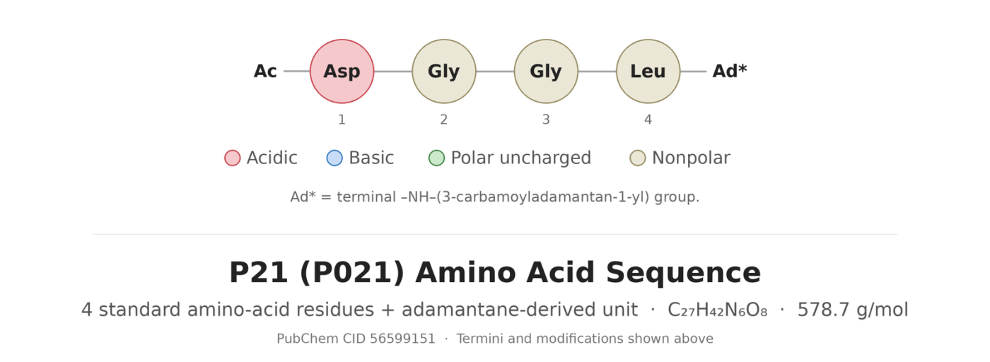 P21 (P021) peptide sequence and adamantane modification diagram