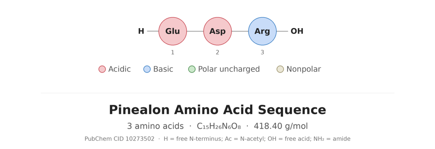 Pinealon amino acid sequence diagram