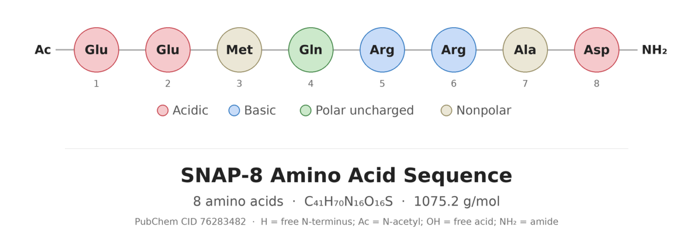 SNAP-8 amino acid sequence diagram