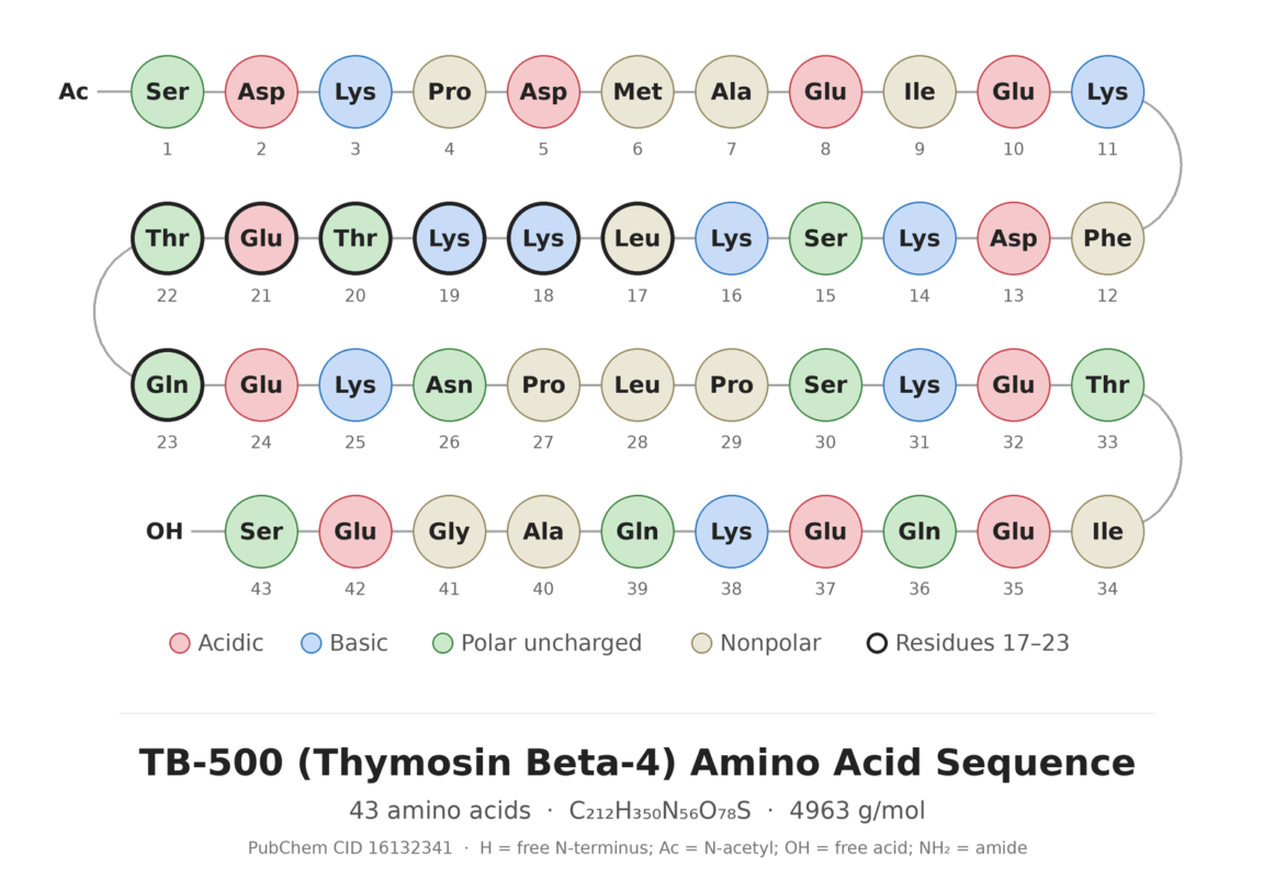 TB-500 (Thymosin Beta-4) amino acid sequence diagram