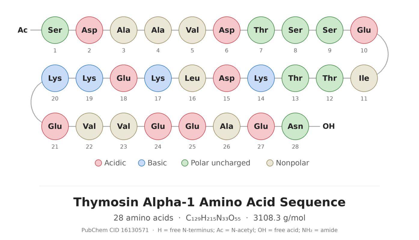 Thymosin Alpha-1 amino acid sequence diagram