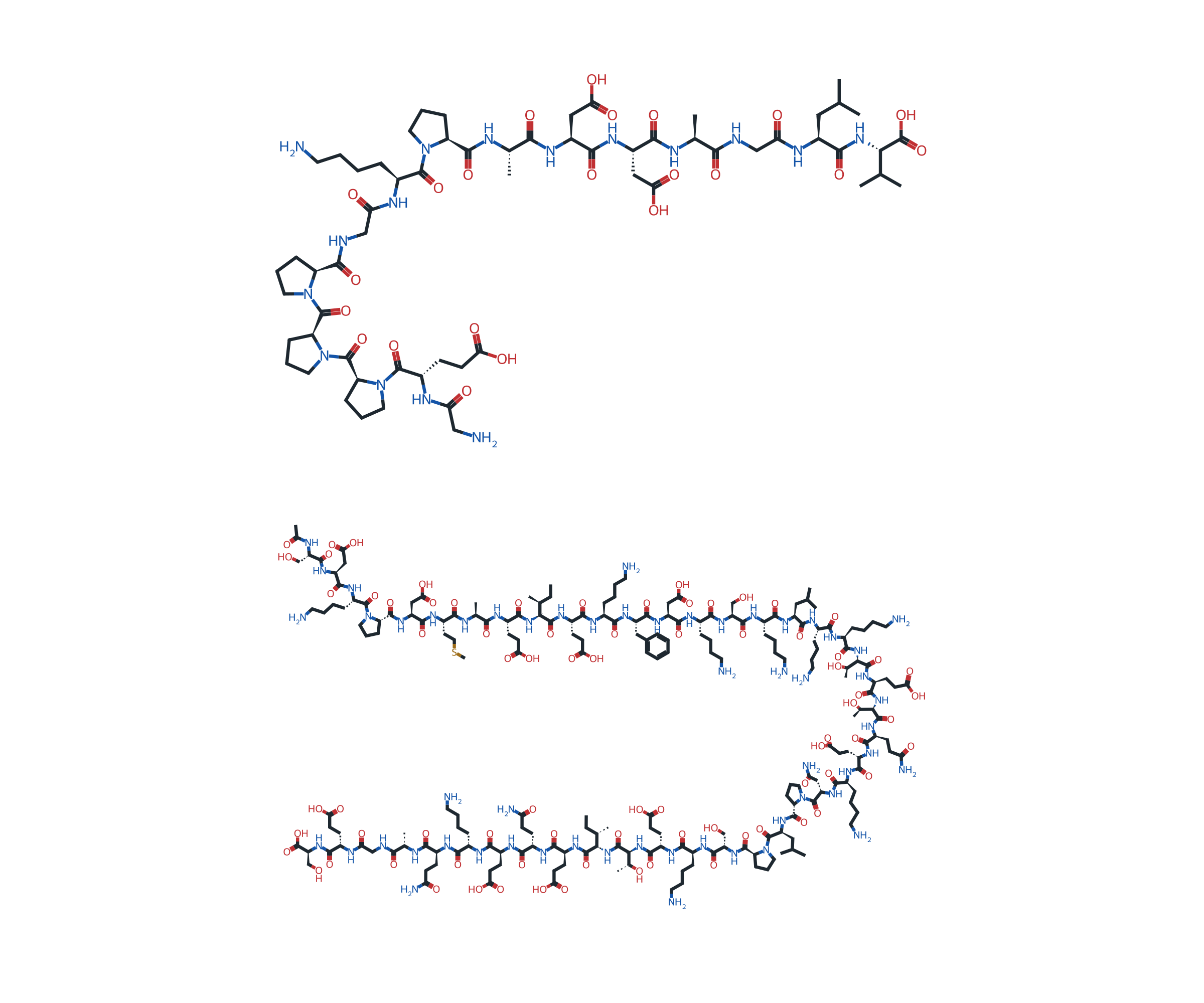 Separate molecular structures of BPC-157 and full-length thymosin beta-4
