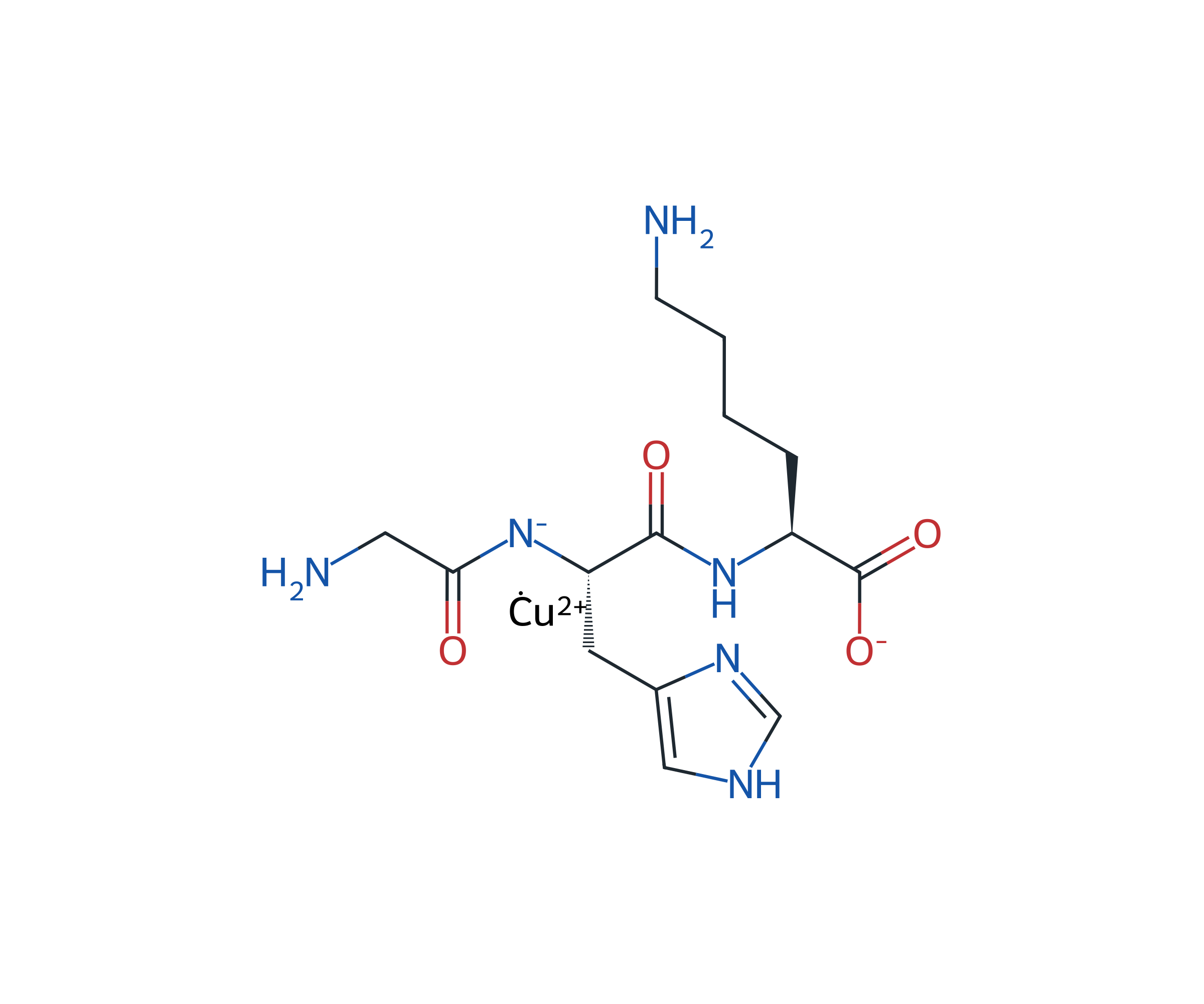 GHK-Cu molecular structure shown as an ionic representation, without copper coordination geometry