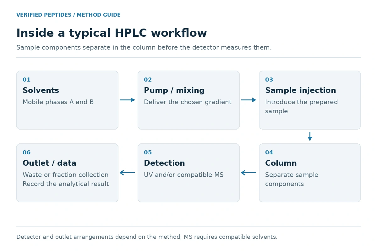 Simplified HPLC workflow diagram showing solvent reservoirs, a high-pressure pump, the sample introduction step, a reversed-phase column, a UV detector, and an optional mass spectrometer.