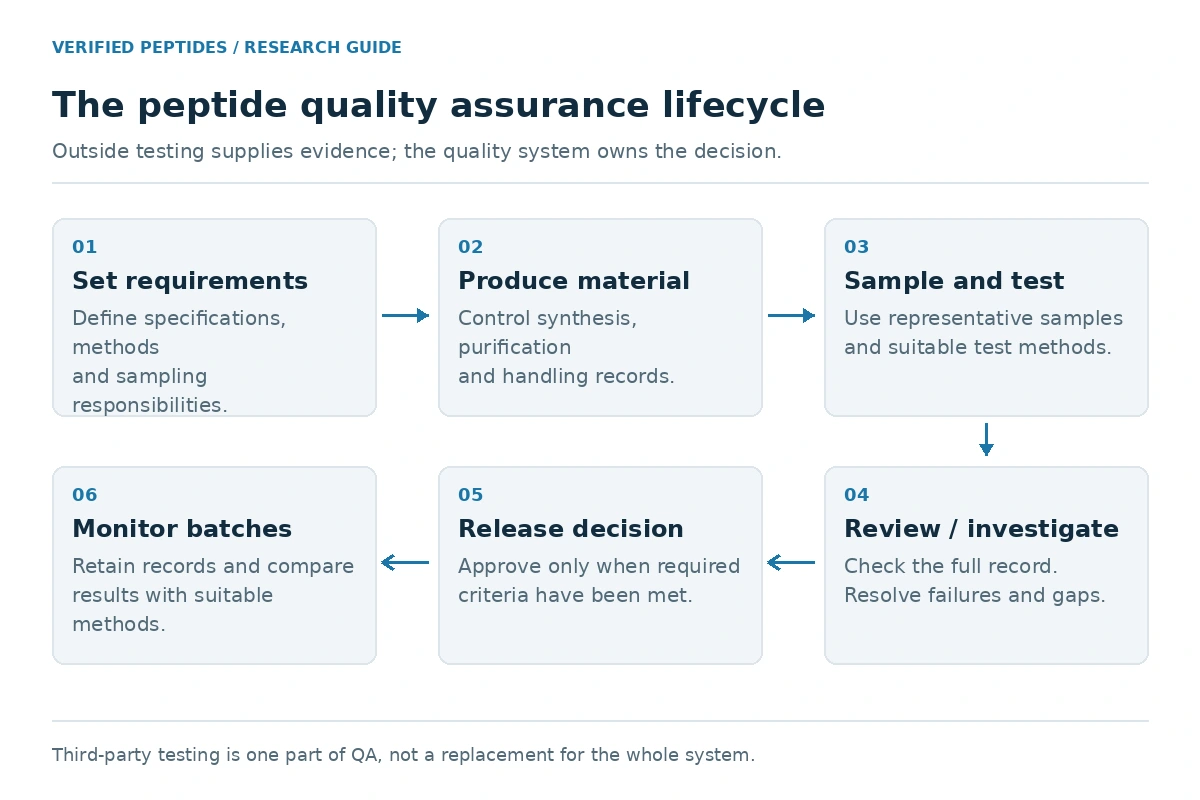 Infographic of the peptide quality assurance lifecycle: specification, synthesis, sampling, third-party testing, independent review, Certificate of Analysis, release, and ongoing batch comparison.
