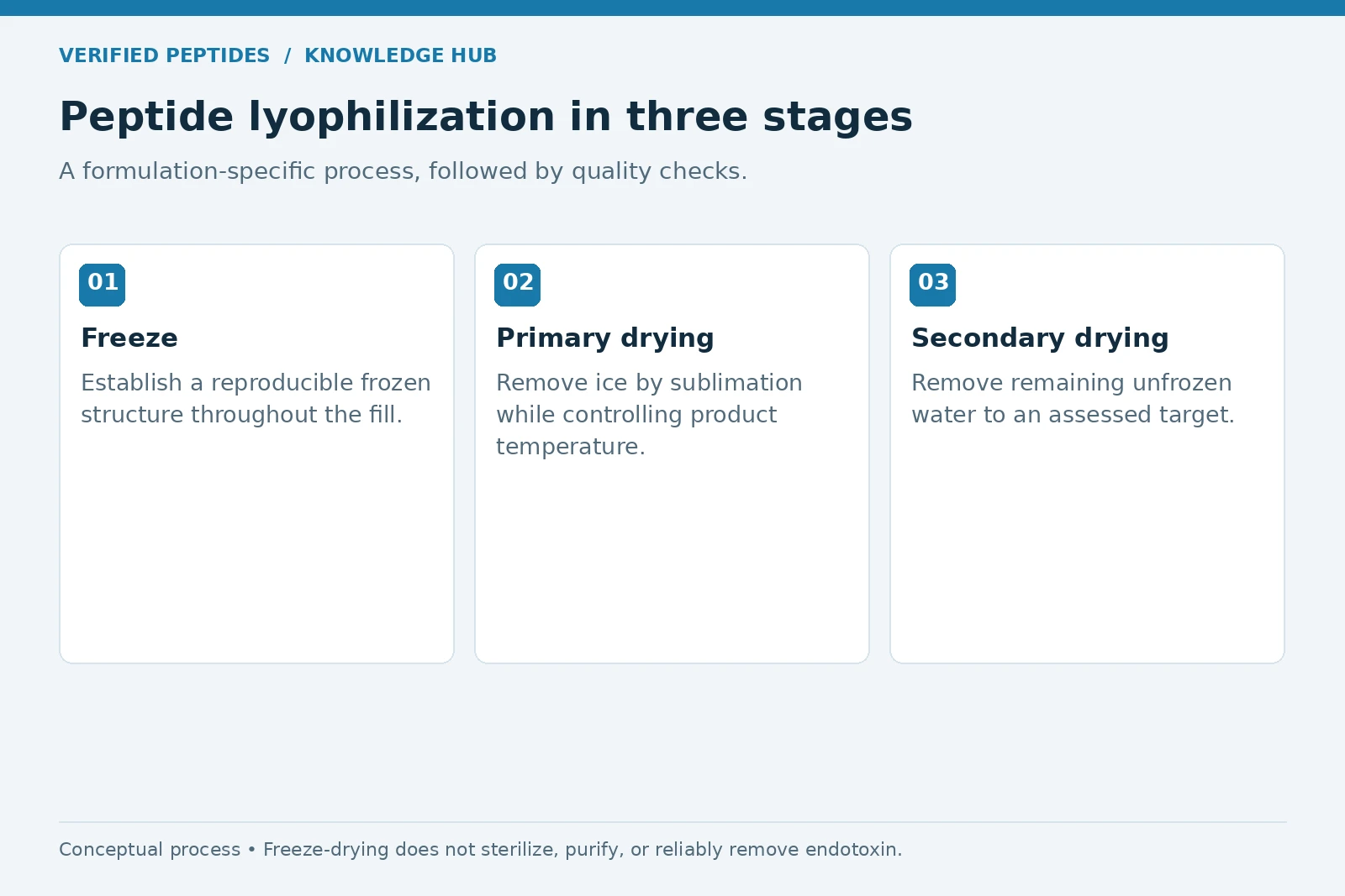 Three stages of peptide lyophilization: freezing, primary drying by sublimation, and secondary drying.